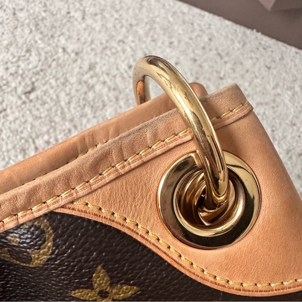 Louis Vuitton Monogram Galliera PM - Picture 10 of 16